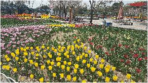 20180412_123443.jpg