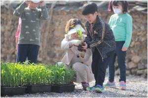 크기변환_2018-04-20 옥수수심기03.JPG