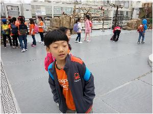 20180413_122204.jpg