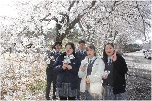 20180406 양산 벚꽃 탐구1.JPG