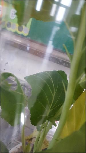 20180508_083146.jpg