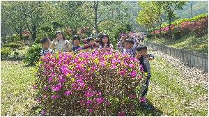 20180425_113343.jpg