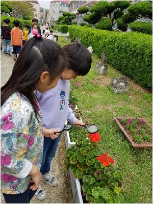 20180502_123033.jpg
