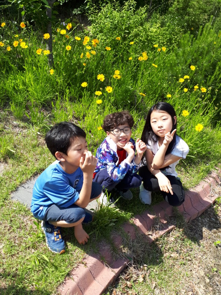 소로아이들 (3)