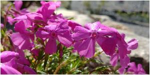 20180504_094430.jpg