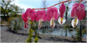 20180504_093949.jpg