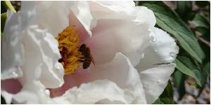 20180504_094238.jpg