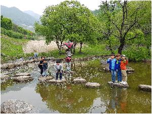 20180501_105656.jpg
