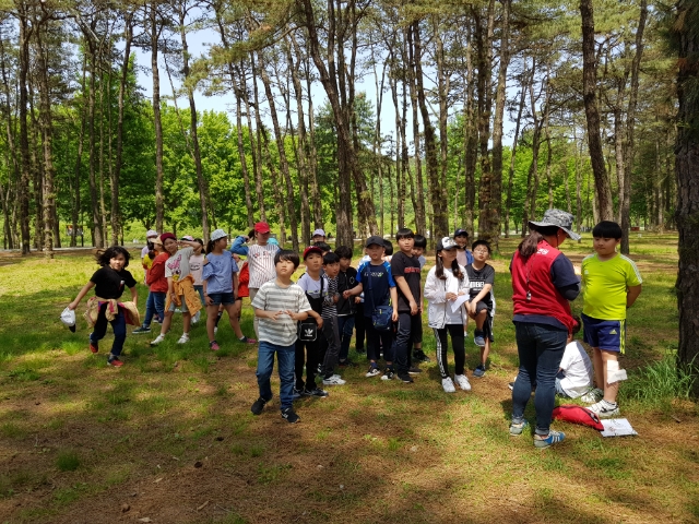 추적놀이 활동