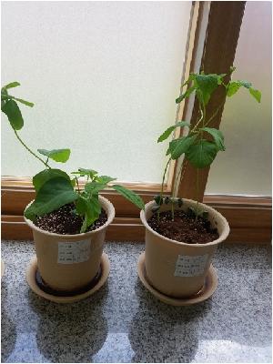 20180508_150627.jpg