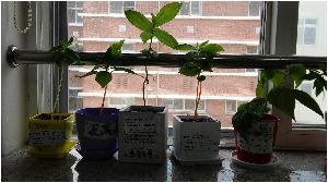 20180530_142651_HDR.jpg