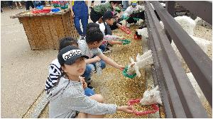 동물먹이주기 (3).jpg