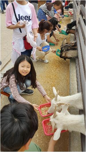 동물먹이주기 (2).jpg