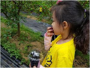 20180611_102055.jpg