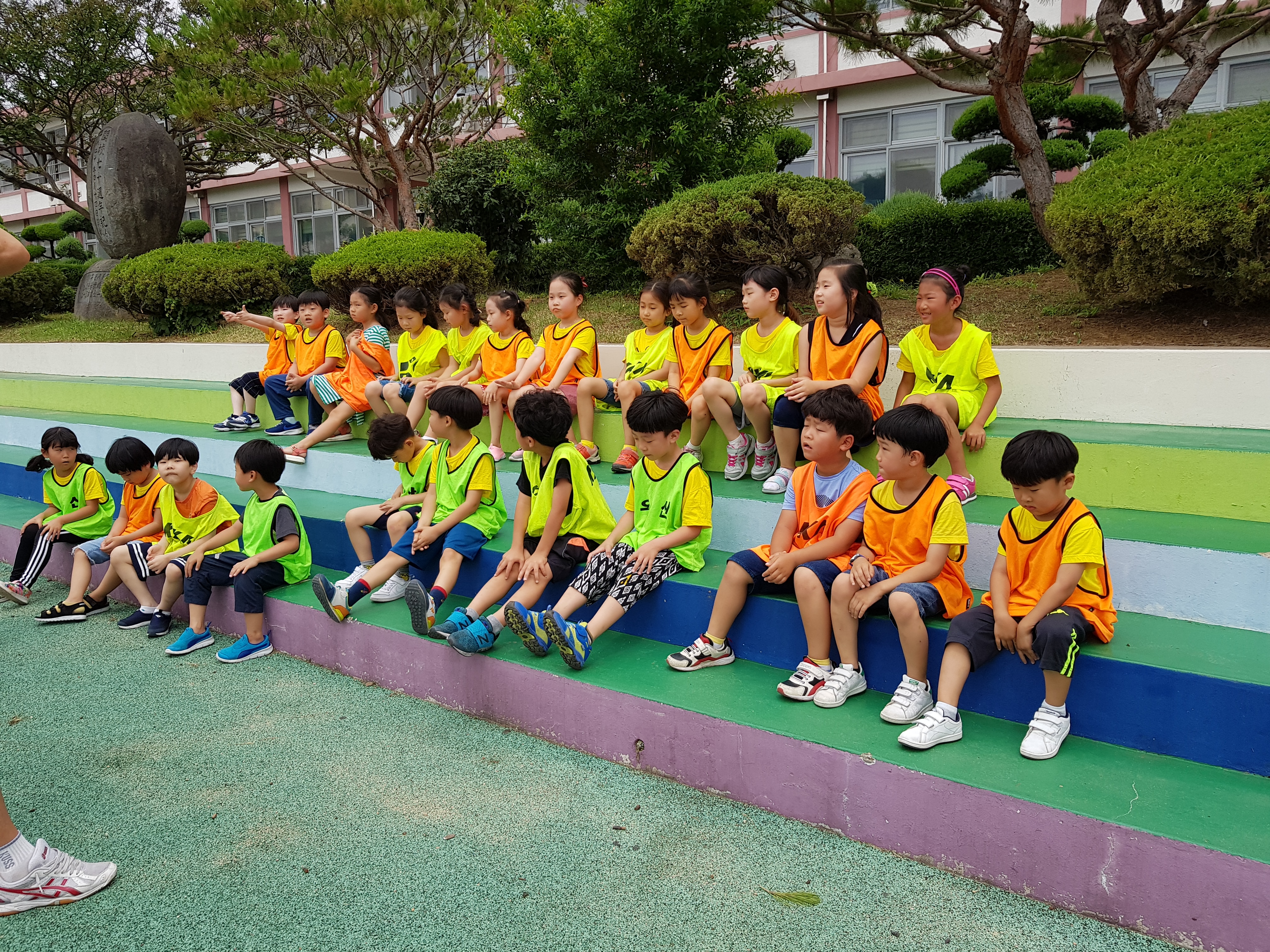 20180629_110126.jpg