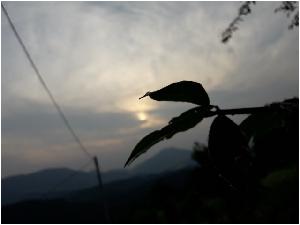 20180625_184701.jpg
