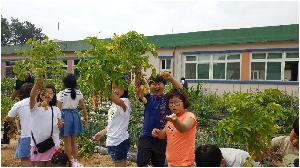 20180619_094727.jpg
