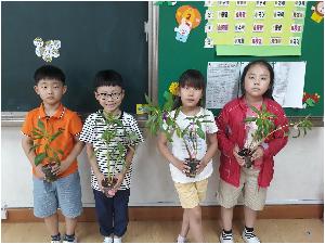 20180612_112041.jpg