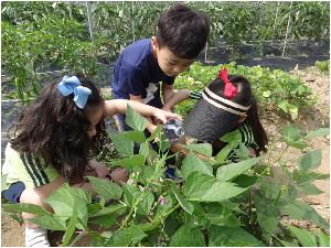 텃밭가꾸기 및 산행 (8).jpg