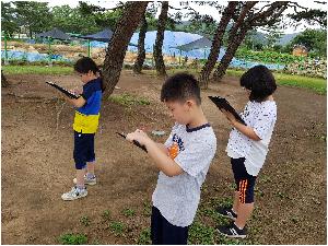 20180628_094125.jpg