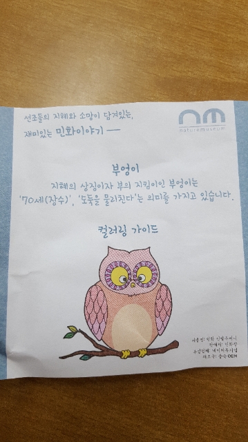 부엉이에 관하여