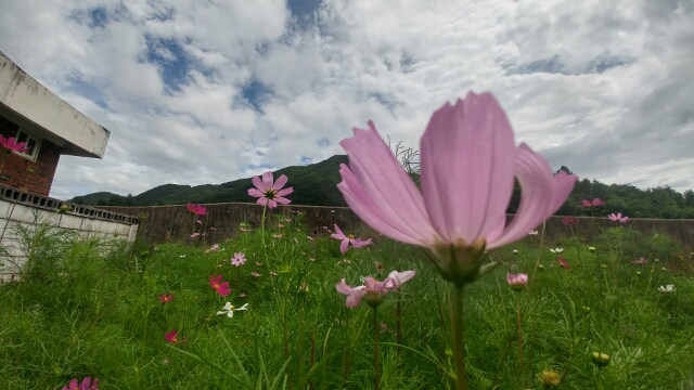 산