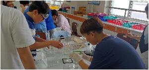 20180702_133315_HDR.jpg