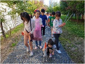 20180912_093704.jpg