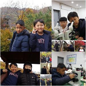 별새꽃돌.jpg