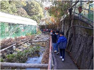 20181018_104658.jpg