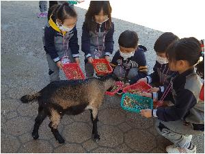 가을 현장체험학습.jpg