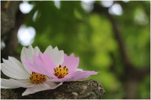 서유빈대표(우정안에 사랑).JPG