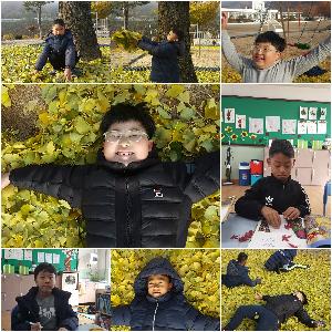 은행잎.jpg