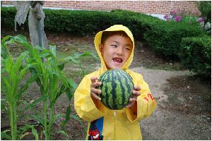 수박.jpg
