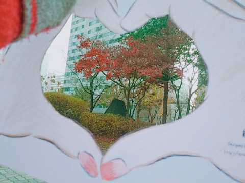 나무
