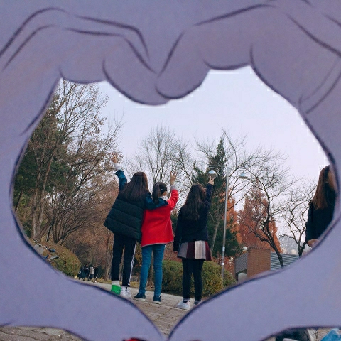 B.P♡