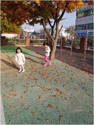 20181103_154529.jpg