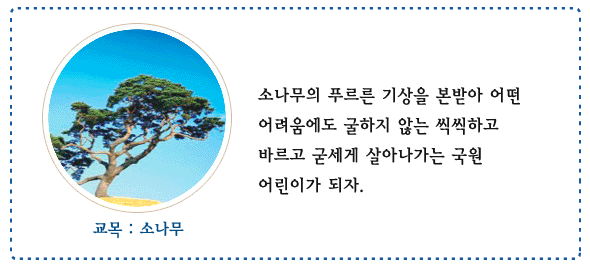 교목:소나무 이미지와 내용