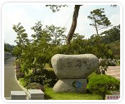 용두공원과미선나무 사진