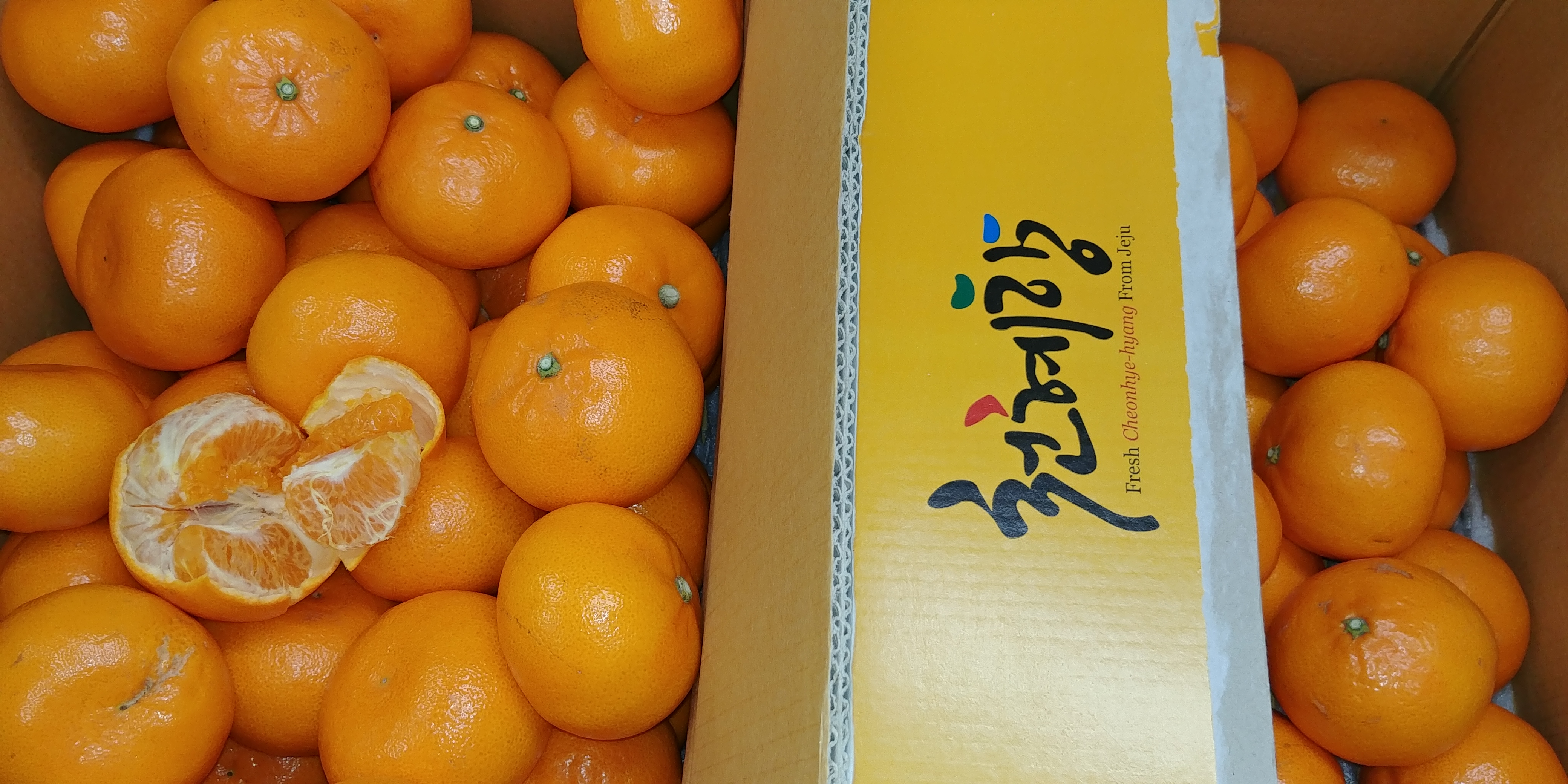 20190304_082544