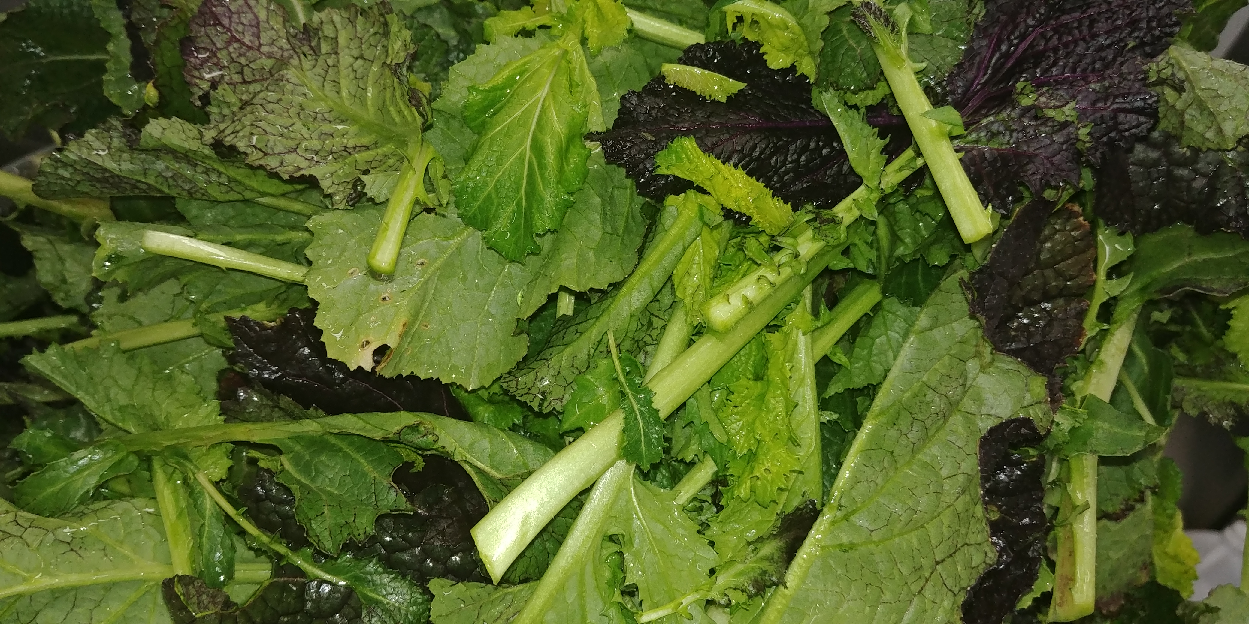 20190305_084644
