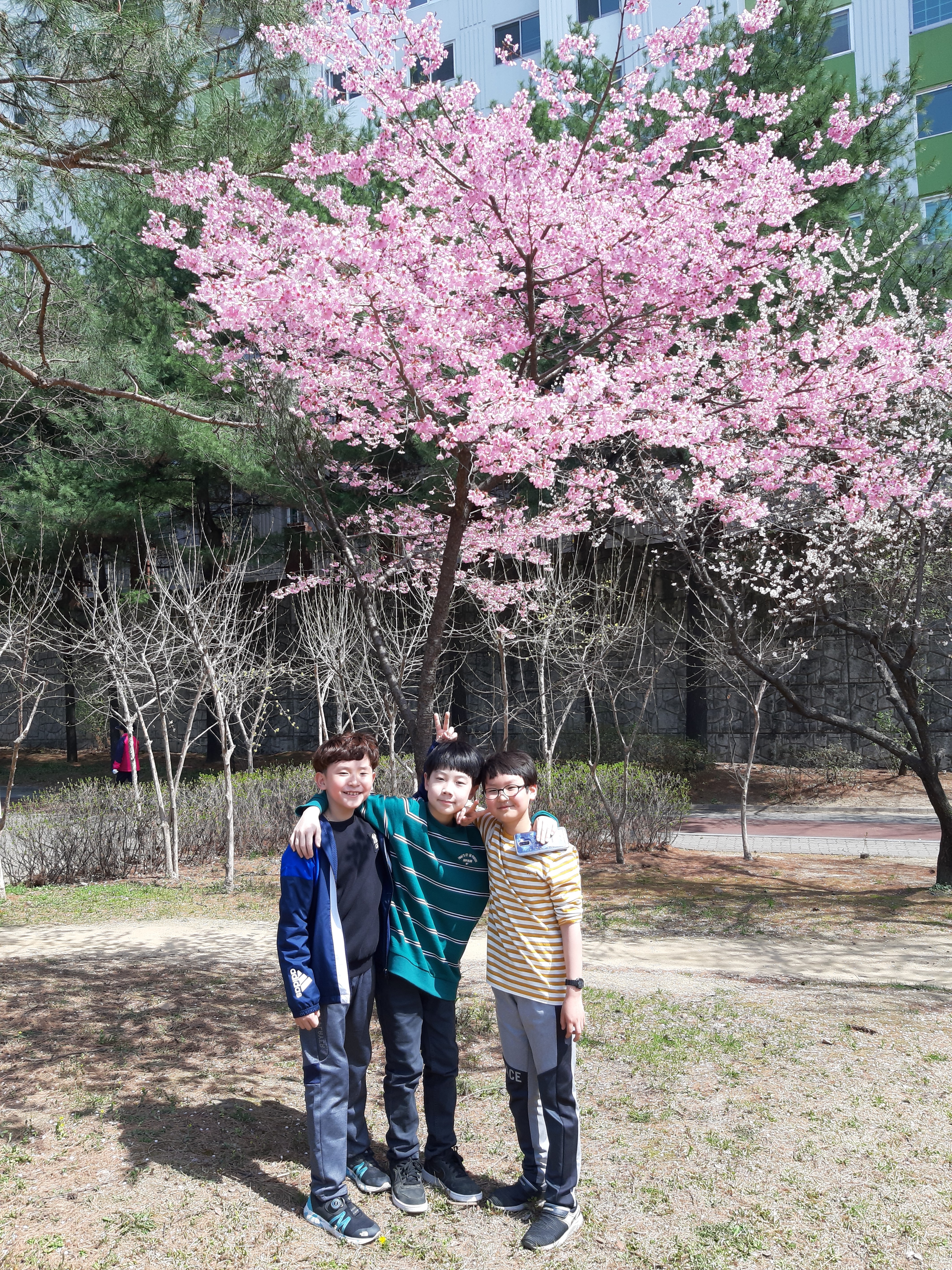 20190408_135332.jpg