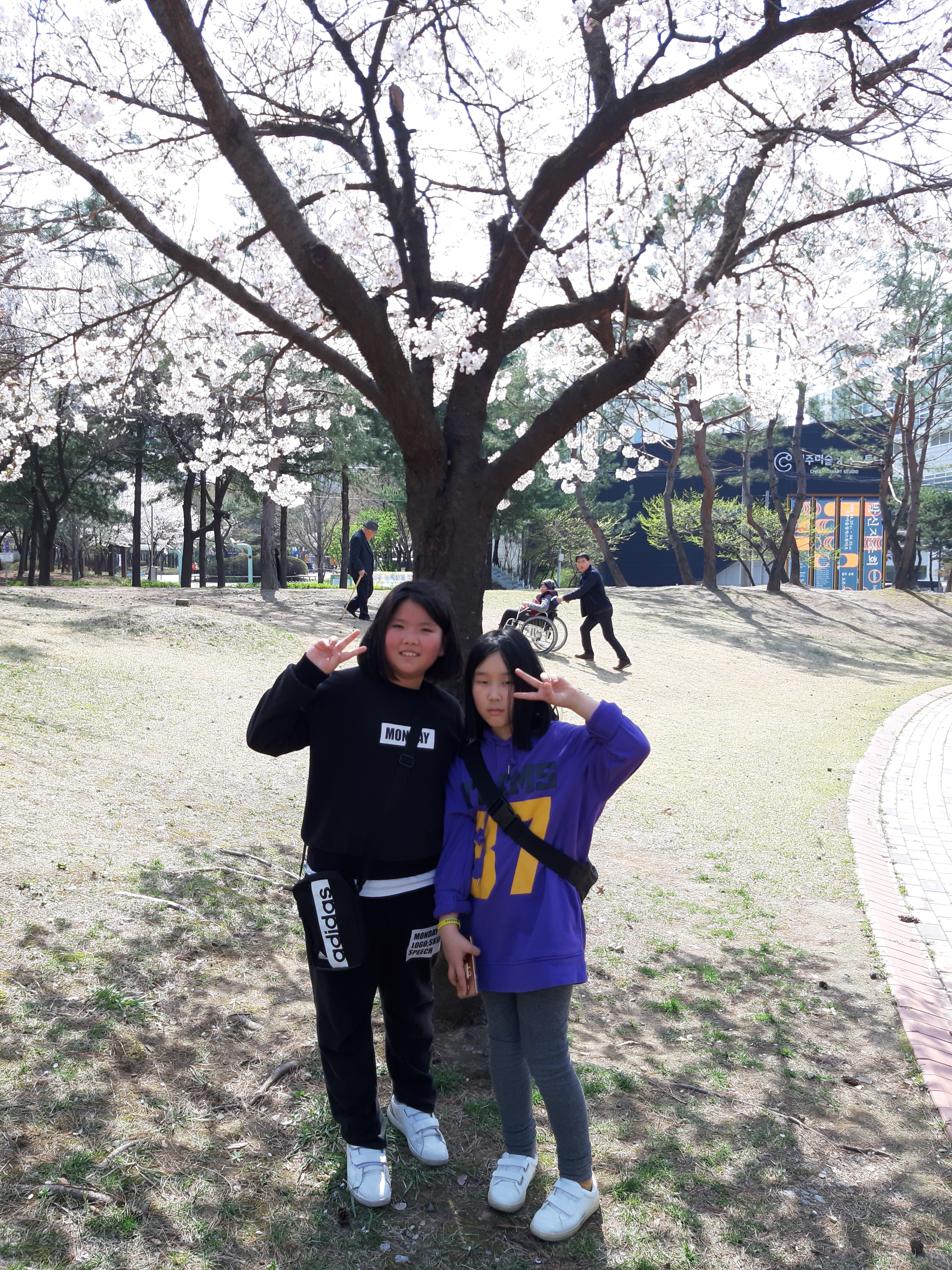 20190408_135035.jpg