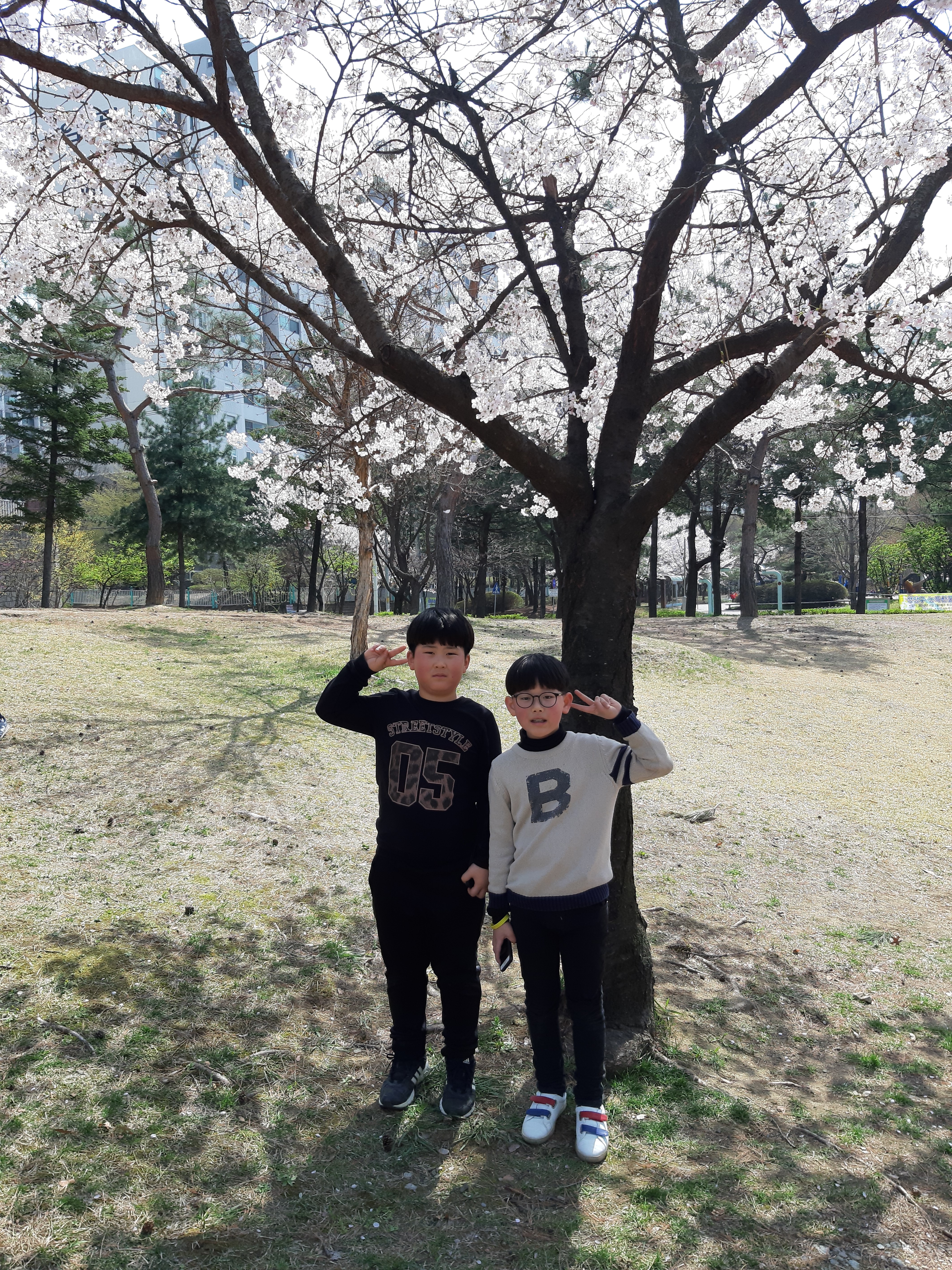 20190408_135100.jpg