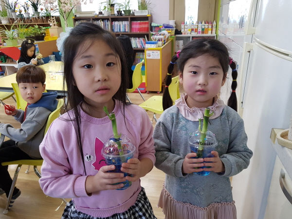20190404_151042.jpg