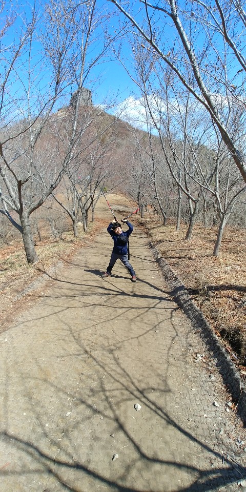 나혼자 산에 간다!