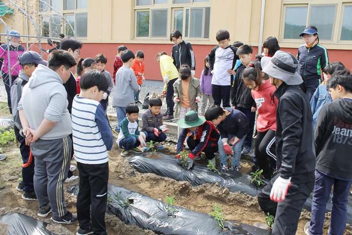 가흥초 초록학교만들기 (1).JPG