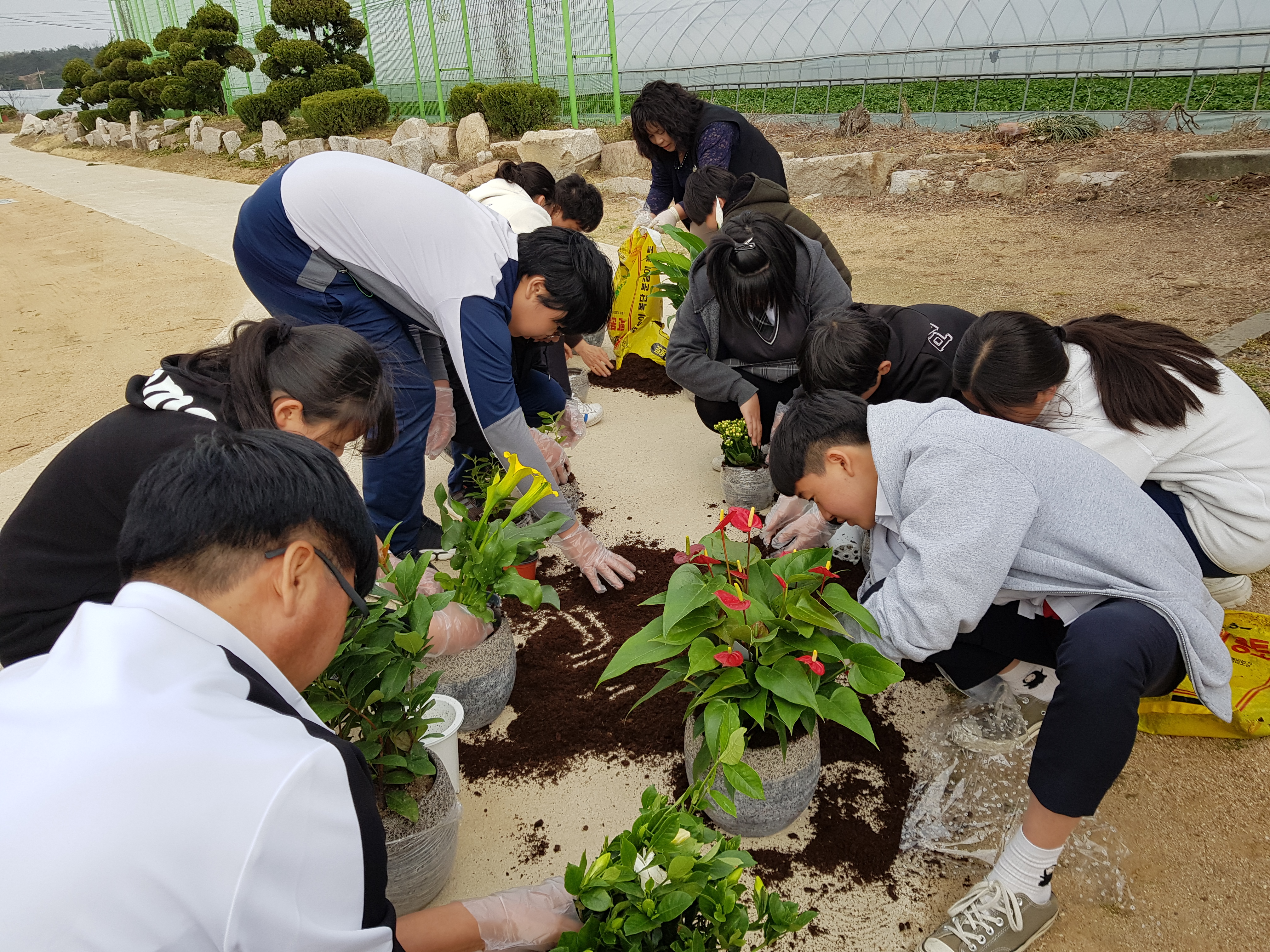 정수중_1학생 1화분 가꾸기_2