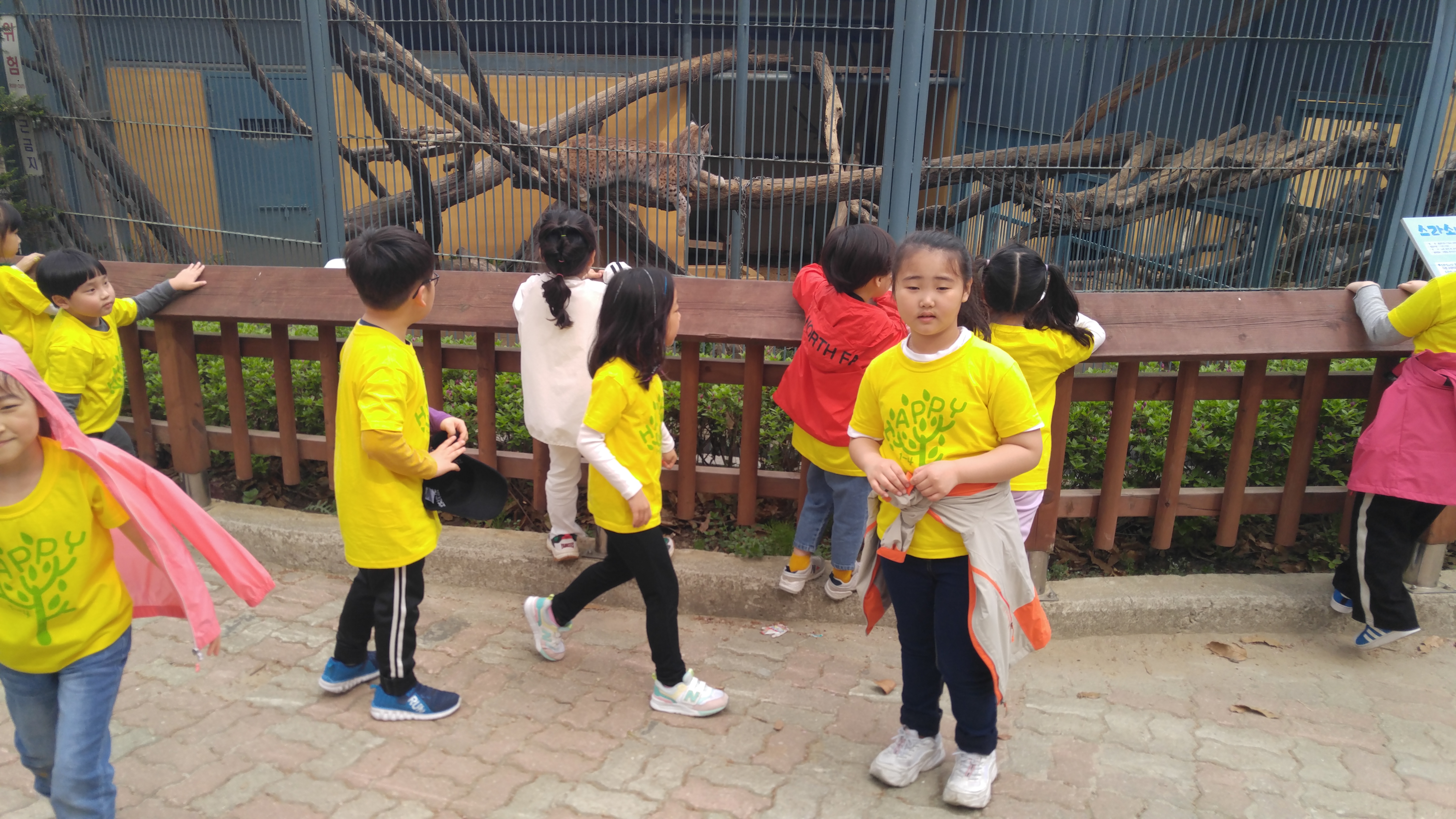 동물2