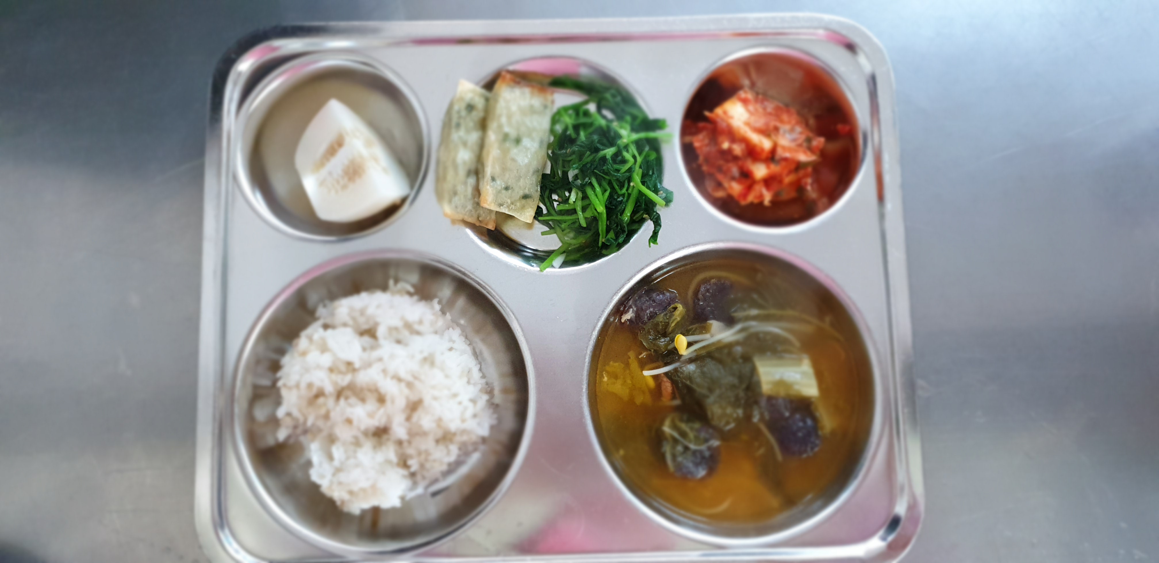20190411_115330[1].jpg